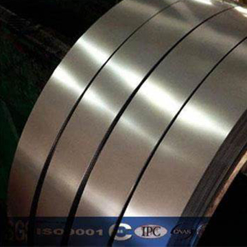 Titanium Strip from China manufacturer - shengpo